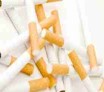 Les plumitifs du lobby du tabac : Tous les moyens sont bons